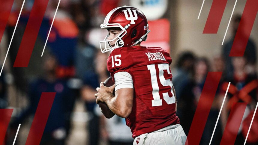 Fernando Mendoza in college.